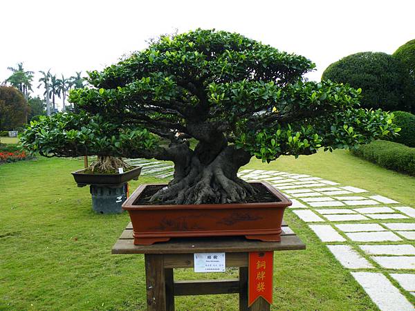 DSCF9728.JPG DSCF9728.JPG