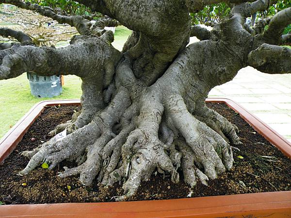 DSCF9729.JPG DSCF9729.JPG