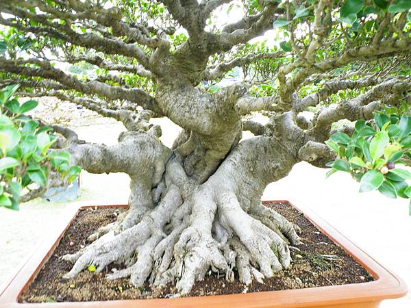 DSCF9730.JPG DSCF9730.JPG