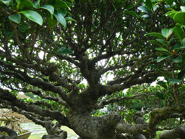 DSCF9731.JPG DSCF9731.JPG