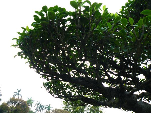 DSCF9732.JPG DSCF9732.JPG