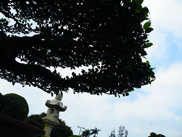 DSCF9733.JPG DSCF9733.JPG