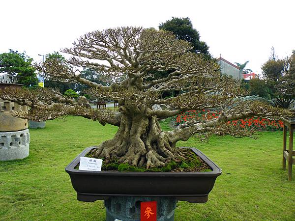 DSCF9734.JPG DSCF9734.JPG