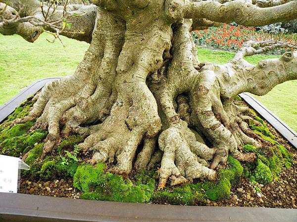 DSCF9735.JPG DSCF9735.JPG