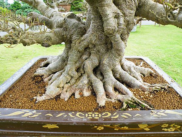 DSCF9740.JPG DSCF9740.JPG