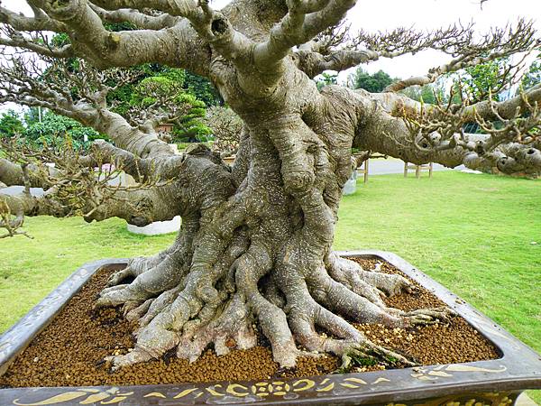 DSCF9741.JPG DSCF9741.JPG