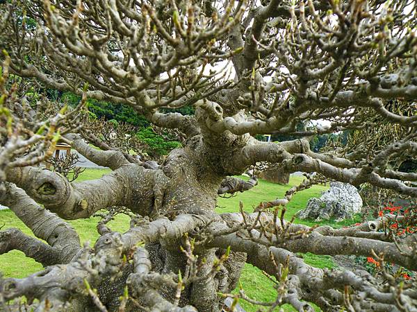 DSCF9742.JPG DSCF9742.JPG