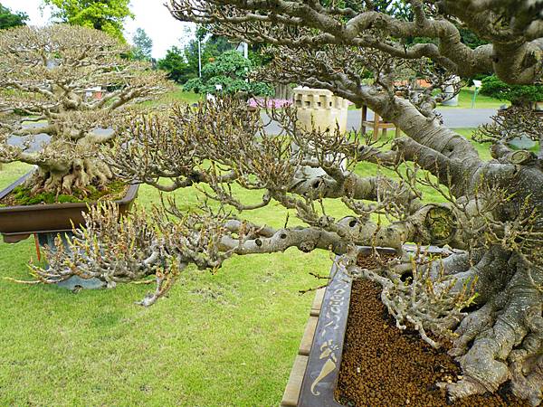 DSCF9743.JPG DSCF9743.JPG