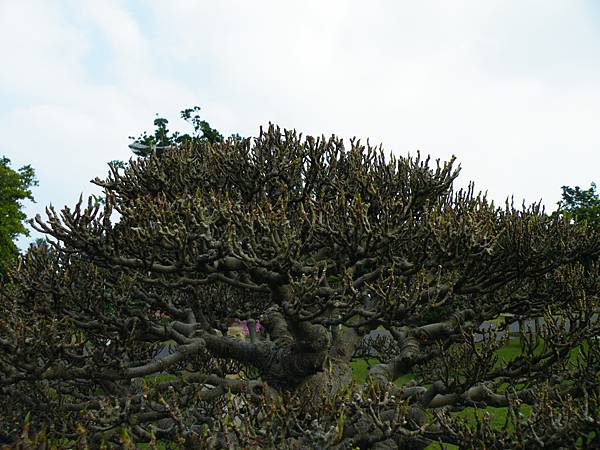 DSCF9744.JPG DSCF9744.JPG