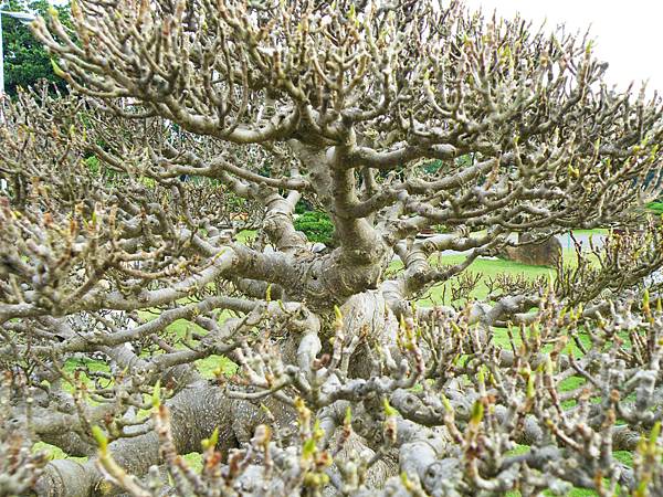 DSCF9745.JPG DSCF9745.JPG