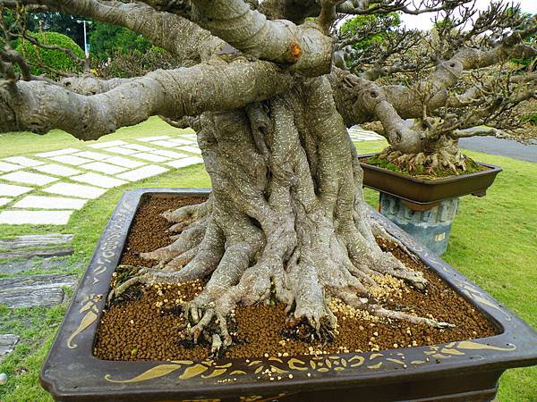 DSCF9747.JPG DSCF9747.JPG