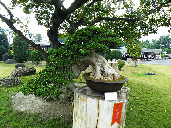 DSCF9748.JPG DSCF9748.JPG