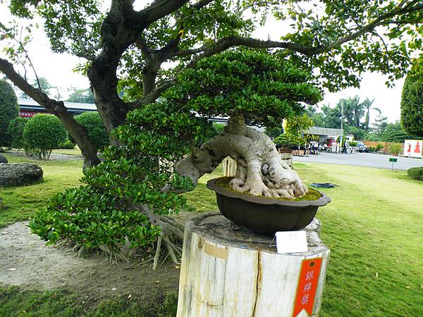 DSCF9749.JPG DSCF9749.JPG