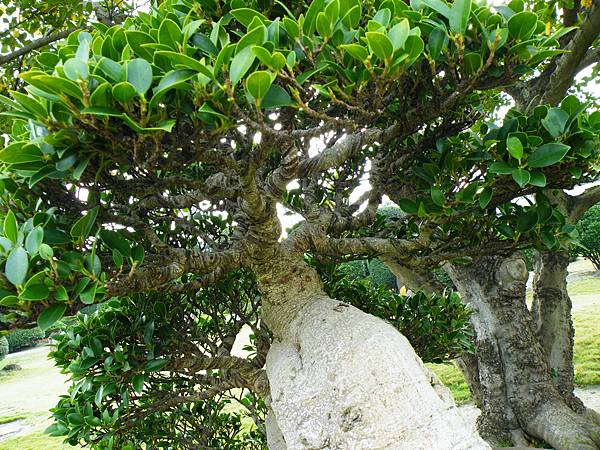 DSCF9751.JPG DSCF9751.JPG