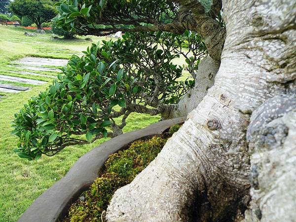 DSCF9753.JPG DSCF9753.JPG