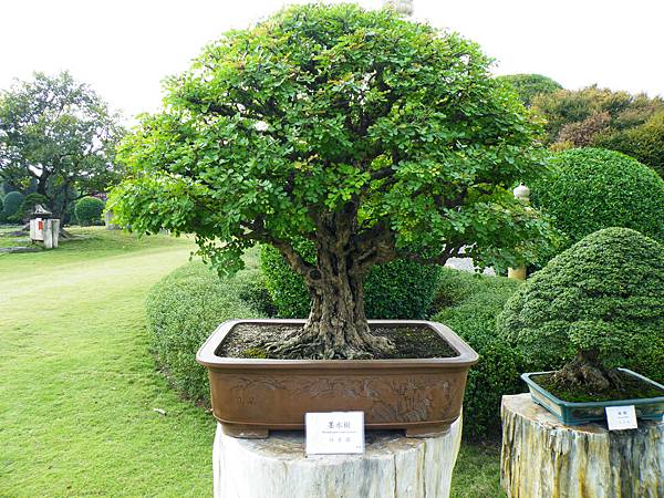 DSCF9754.JPG DSCF9754.JPG