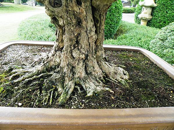 DSCF9755.JPG DSCF9755.JPG