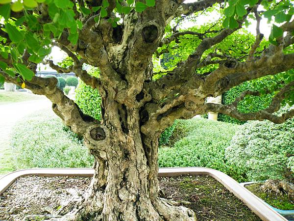 DSCF9756.JPG DSCF9756.JPG