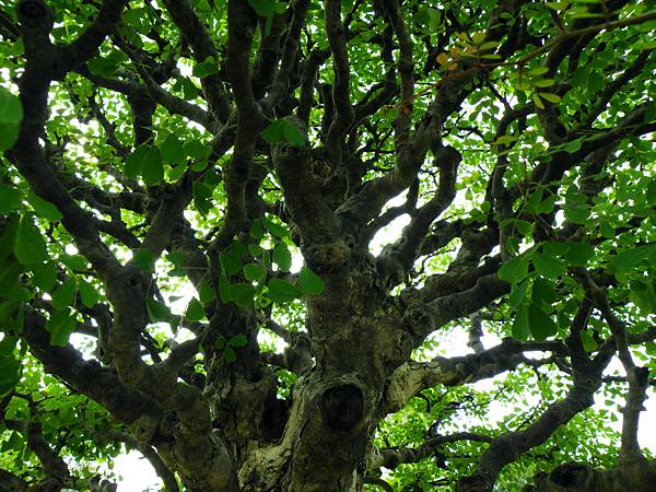 DSCF9757.JPG DSCF9757.JPG