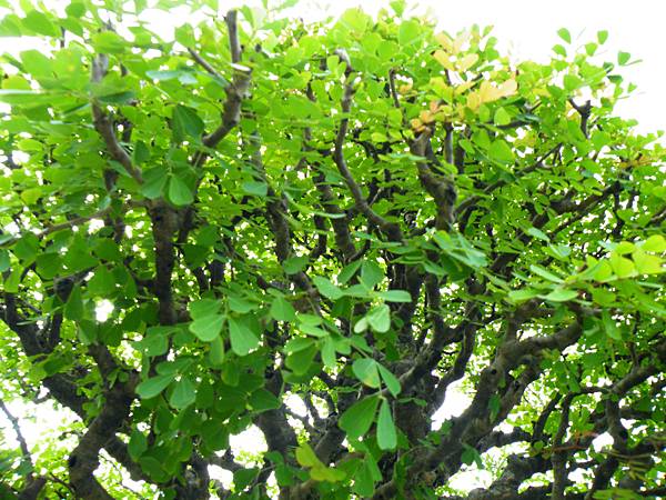 DSCF9758.JPG DSCF9758.JPG