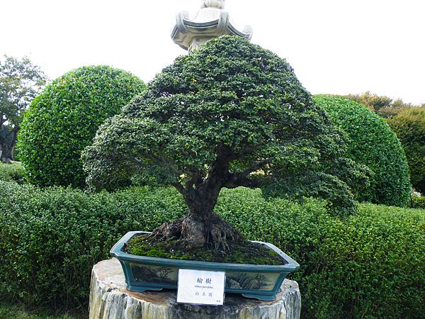 DSCF9760.JPG DSCF9760.JPG