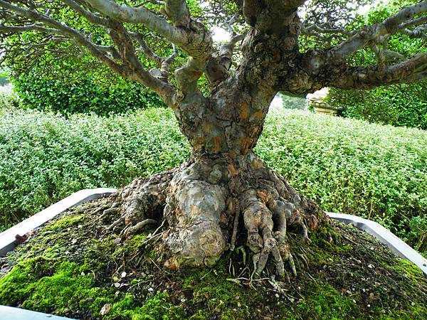 DSCF9761.JPG DSCF9761.JPG