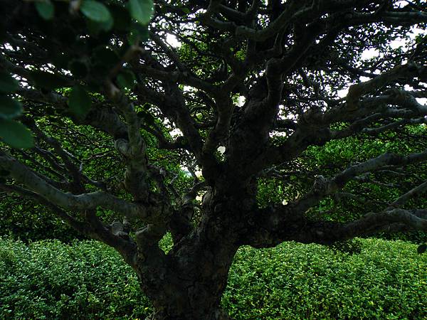 DSCF9762.JPG DSCF9762.JPG