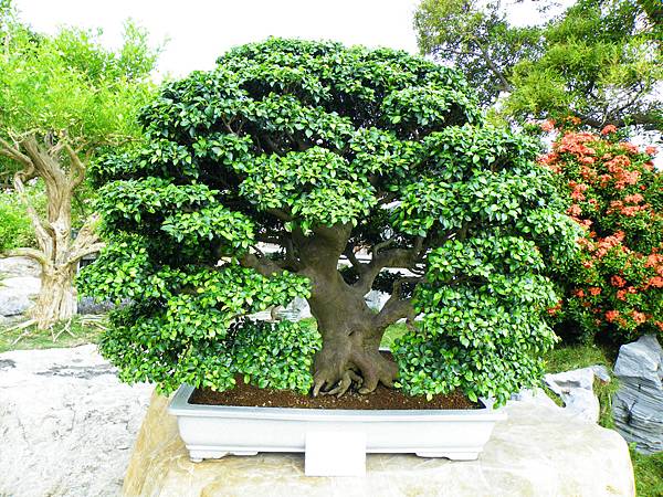 DSCF9763.JPG DSCF9763.JPG