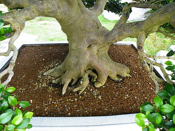 DSCF9764.JPG DSCF9764.JPG