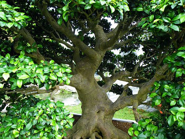 DSCF9765.JPG DSCF9765.JPG