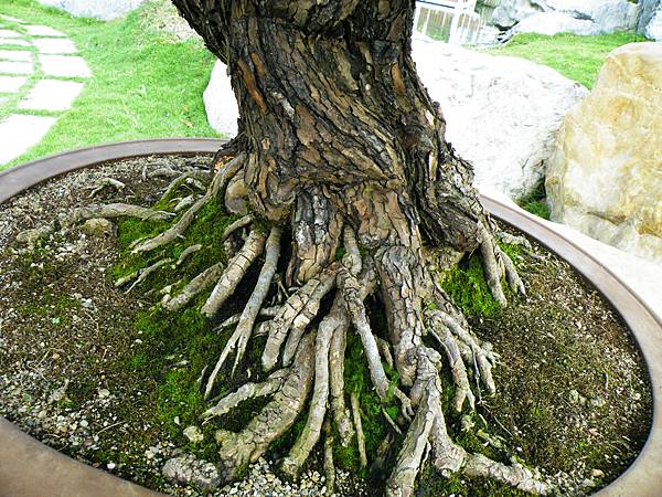 DSCF9769.JPG DSCF9769.JPG