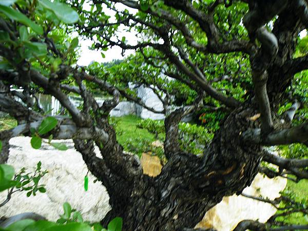 DSCF9773.JPG DSCF9773.JPG