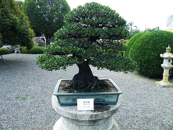 DSCF9775.JPG DSCF9775.JPG