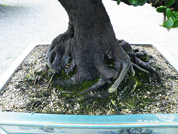 DSCF9776.JPG DSCF9776.JPG