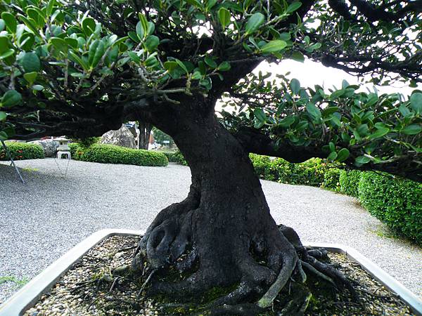 DSCF9777.JPG DSCF9777.JPG