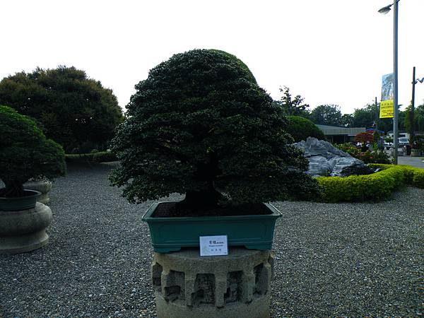 DSCF9783.JPG DSCF9783.JPG