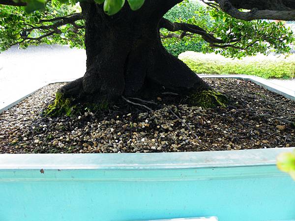 DSCF9784.JPG DSCF9784.JPG