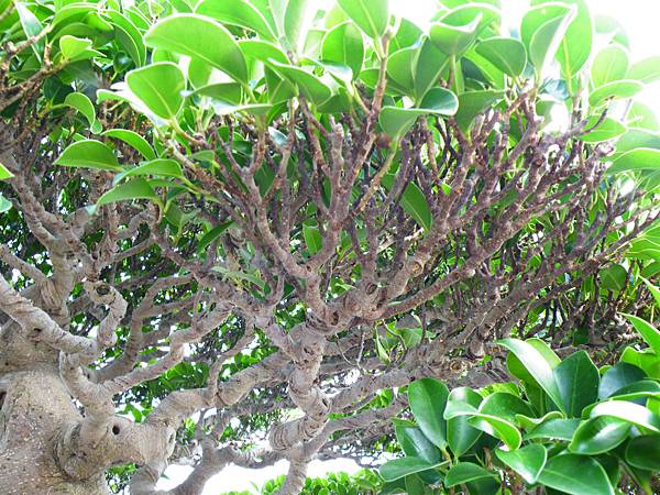 DSCF0002.JPG DSCF0002.JPG