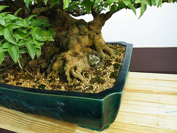 DSCF0008.JPG DSCF0008.JPG