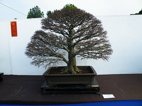 DSCF0010.JPG DSCF0010.JPG