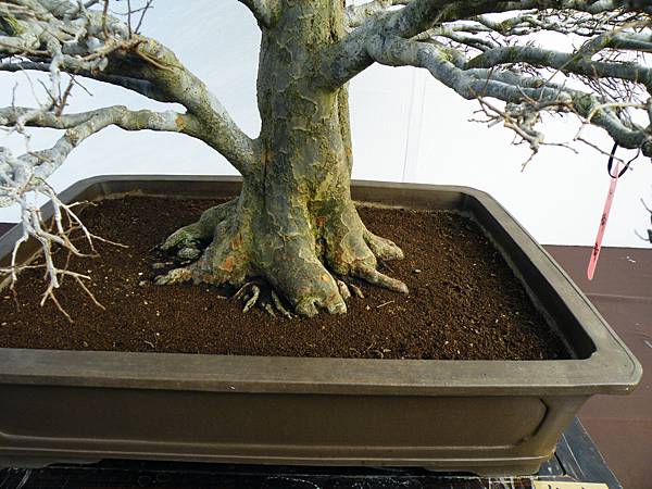 DSCF0011.JPG DSCF0011.JPG