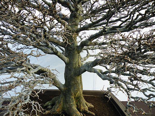 DSCF0012.JPG DSCF0012.JPG