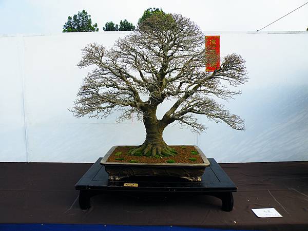 DSCF0016.JPG DSCF0016.JPG