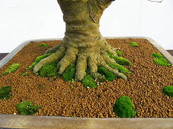 DSCF0017.JPG DSCF0017.JPG