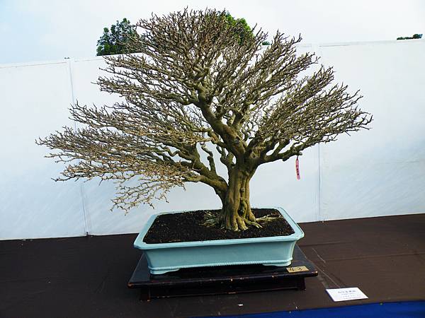 DSCF0021.JPG DSCF0021.JPG