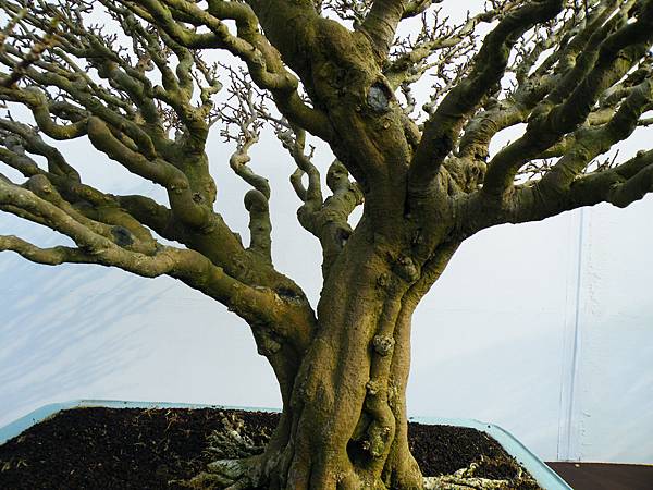 DSCF0023.JPG DSCF0023.JPG