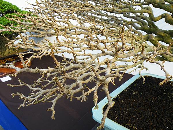 DSCF0024.JPG DSCF0024.JPG