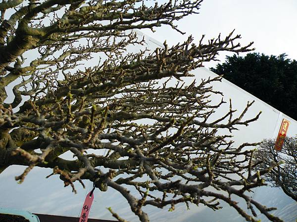 DSCF0026.JPG DSCF0026.JPG