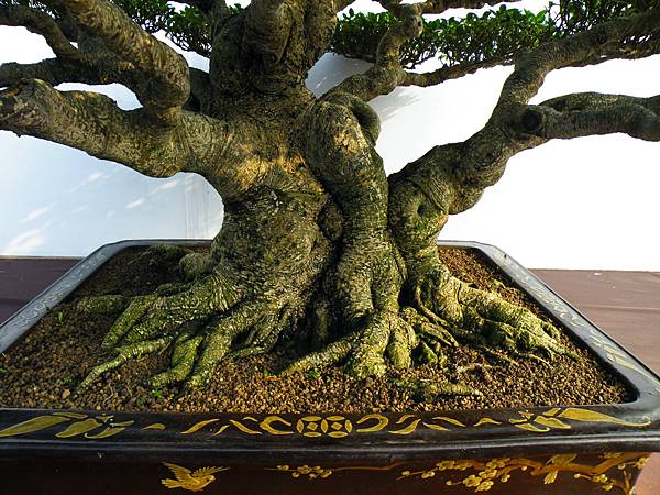 DSCF0028.JPG DSCF0028.JPG