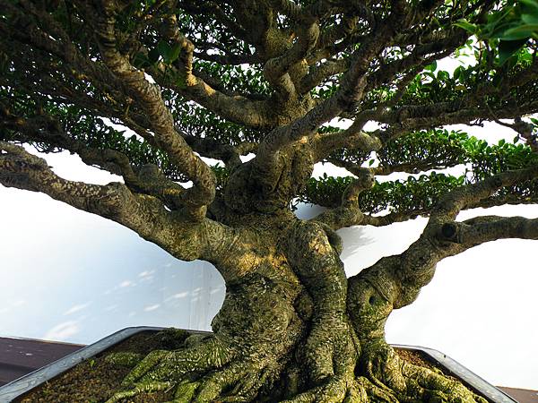 DSCF0029.JPG DSCF0029.JPG